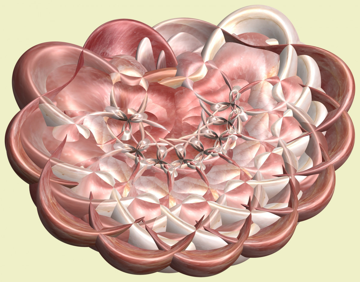rakenne, rakenne, kukka, terälehti, sydän, kuvio, korva, ympyrä, ihmiskehon, Viileä kuva, design, symmetria, 3d, graafinen, elin, mathematica, cg, parametricplot3d, koodi, ohjelmoida, algoritmi, kartoitus, levy